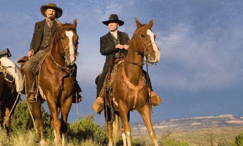 Appaloosa500.jpg