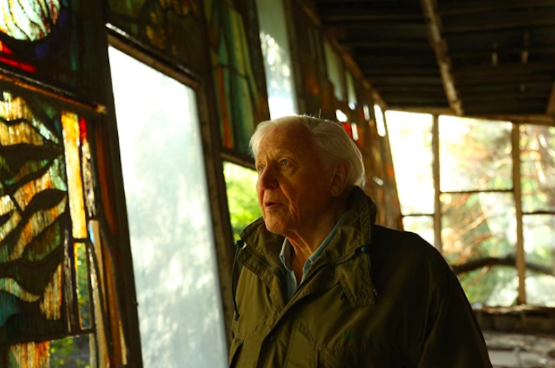 Críticas Crítica De David Attenborough Una Vida En Nuestro Planeta Documental De Alastair Fothergill Jonathan Hughes Y Keith Scholey Netflix Otros Cines