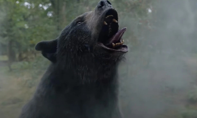 Oso intoxicado (Cocaine Bear)