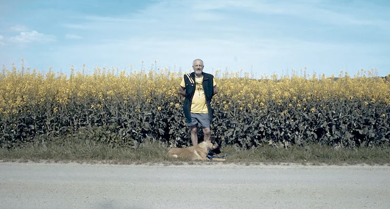 Festivales: Crítica de “Retiros (in)voluntarios”, de Sandra Gugliotta (Sección Oficial - Fuera de Competencia) - #MarFilmFestival - Otros Cines