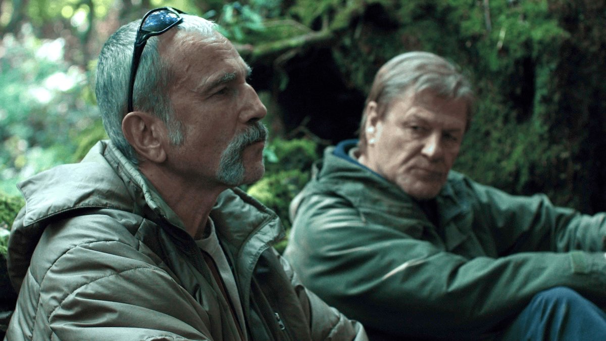 Anemona day lewis 1200 Anemona day lewis 1200