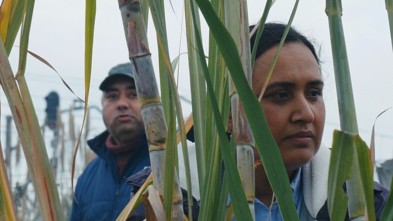 Historias del buen valle guerin Historias del buen valle guerin